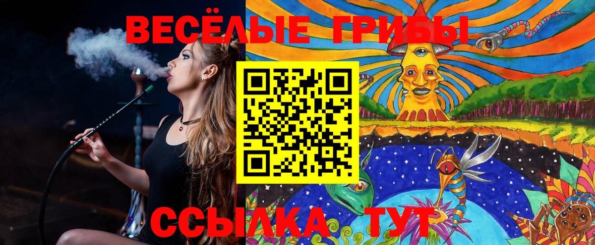 Луга  цены наркотик  Вход с VPN  Галлюциногенные грибы Psilocybine cubensis 